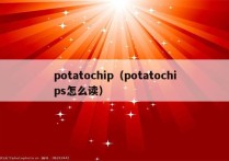 potatochip（potatochips怎么读）