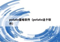 potato是啥软件（potato这个软件）